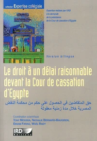 Le droit à un délai raisonnable devant la Cour de cassation d'Egypte