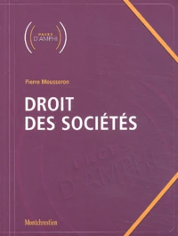 Droit Des Societes