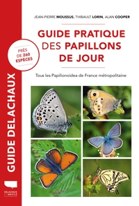 Guide pratique des papillons de jour