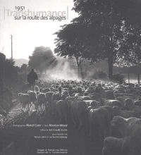 1951. Transhumance Sur La Route Des Alpages