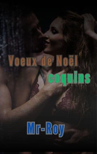 Voeux de Noël coquins