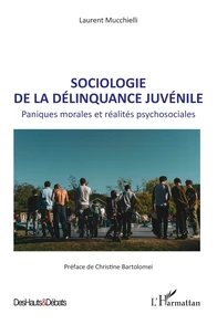Sociologie de la délinquance juvénile