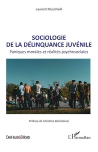 Sociologie de la délinquance juvénile