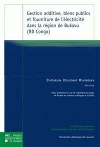 Gestion additive, biens publics et fourniture de l'électricité dans la région de Bukavu (RD Congo)