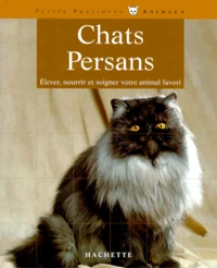 Chats Persans
