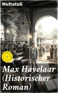 Max Havelaar (Historischer Roman)