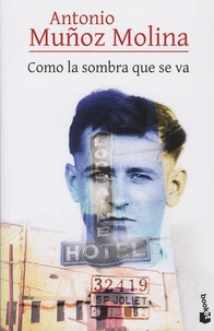 Como la sombre que se va