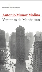 Ventanas de Manhattan