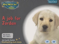 Read Write Inc Phonics : Grey Non-fiction Set 7