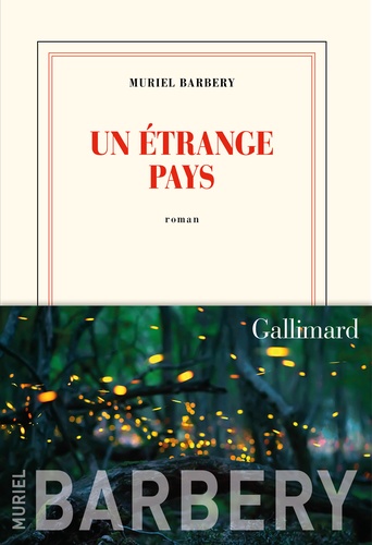 Un étrange pays - Occasion