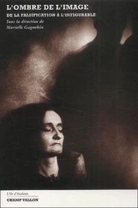 L'Ombre De L'Image. De La Falsification A L'Infigurable