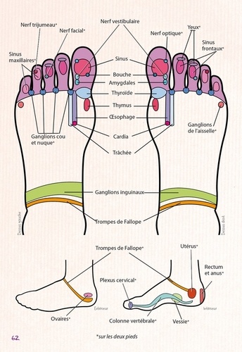 Mon cahier de réflexologie plantaire. Se soigner par les pieds