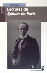 Lectures du Spleen de Paris