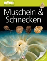Muscheln & Schnecken.