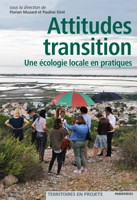 Attitude transitions