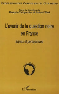 L'avenir de la question noire en France