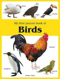 My First Picture Book of Birds