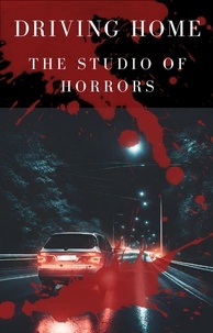  My Studio Of Horrors - Driving Home.