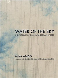 Miya Ando Water of the Sky