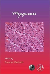 Myogenesis.