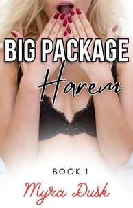 Big Package Harem: Book 1