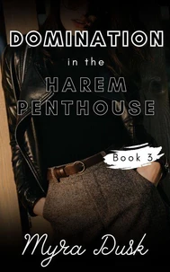 Domination in the Harem Penthouse: Book 3