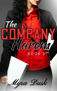 The Company Harem, Book 3