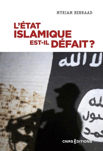 L'Etat islamique est-il défait ?