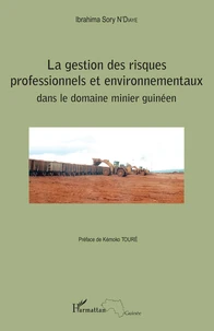 La gestion des risques professionnels et environnementaux dans le domaine minier guinéen