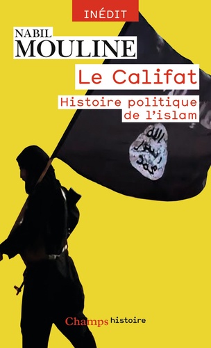 Le Califat, histoire politique de l'Islam - Occasion