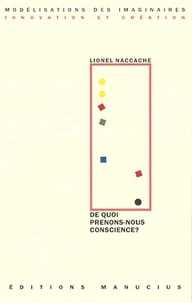 De quoi prenons-nous conscience ?