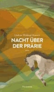 Nacht über der Prärie - Das Blut des Adlers. Band 1.