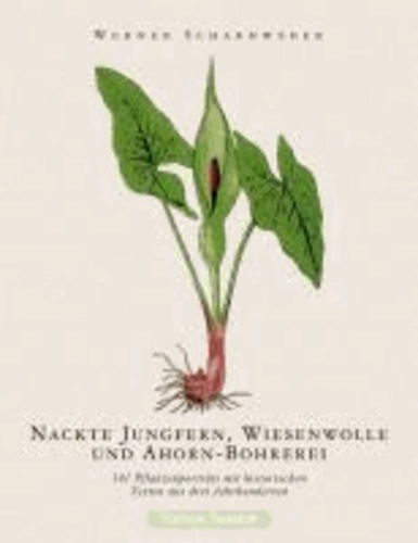 Nackte Jungfern, Wiesenwolle und Ahorn-Bohrerei - 101 Pflanzenporträts mit historischen Texten aus drei Jahrhunderten.