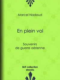En plein vol