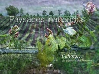 Nadia Benchallal - Paysages inattendus - Cahors... des vignes et des hommes.