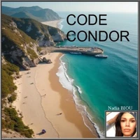 Code condor