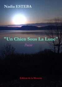 Un chien sous la lune