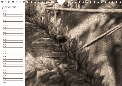 Zen Attitude Calendrier Mural 19 Din De Nadia Le Lay Livre Decitre