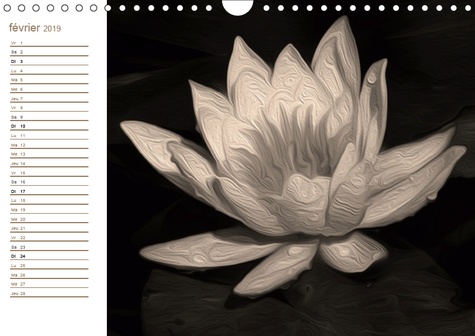 Zen Attitude Calendrier Mural 19 Din De Nadia Le Lay Livre Decitre