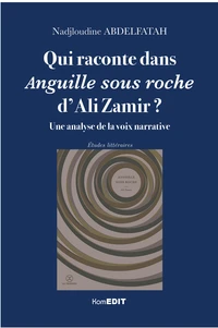 Qui raconte dans Anguille sous roche d'Ali Zamir ?