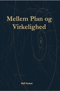 Mellem plan og virkelighed
