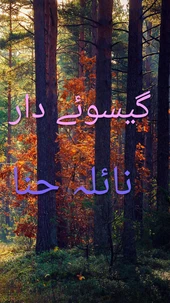 گیسوئے دار
