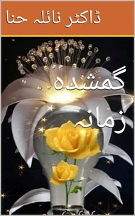 گمشدہ زمانہ