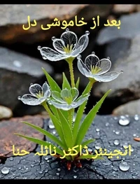بعد از خاموشی دل