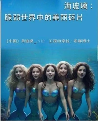 海玻璃: 脆弱世界中的美丽碎片
