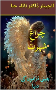 چراغِ شہرت: چینی ڈراموں کی دنیا