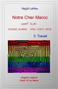 Najib Lahlou - Notre Cher Maroc 3 Travail.