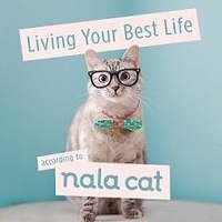 Nala Cat - Living your best life according to Nala Cat.