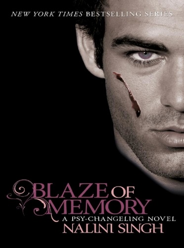 Blaze of Memory. Book 7