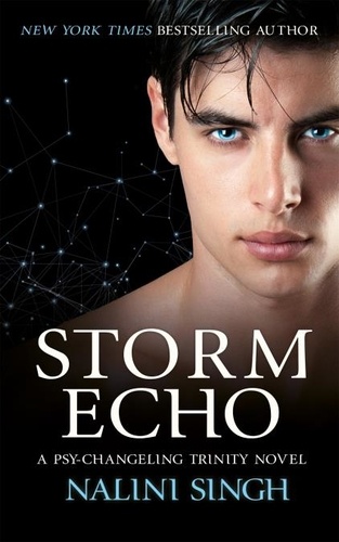 Storm Echo. Book 6